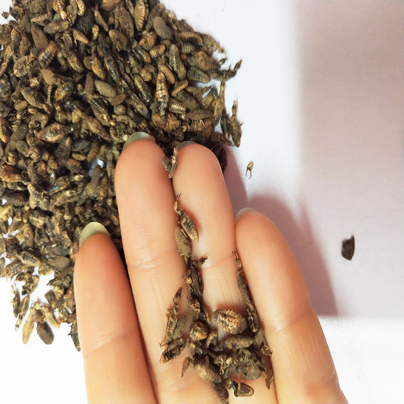 野生清水金沙牛金砂牛地牯牛蚁狮蚂岭虫10g包邮干净无杂可打粉