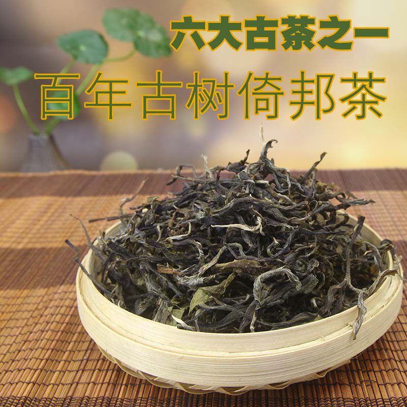 古树真正正普正宗倚邦百年普洱散茶贡茶茶区普洱