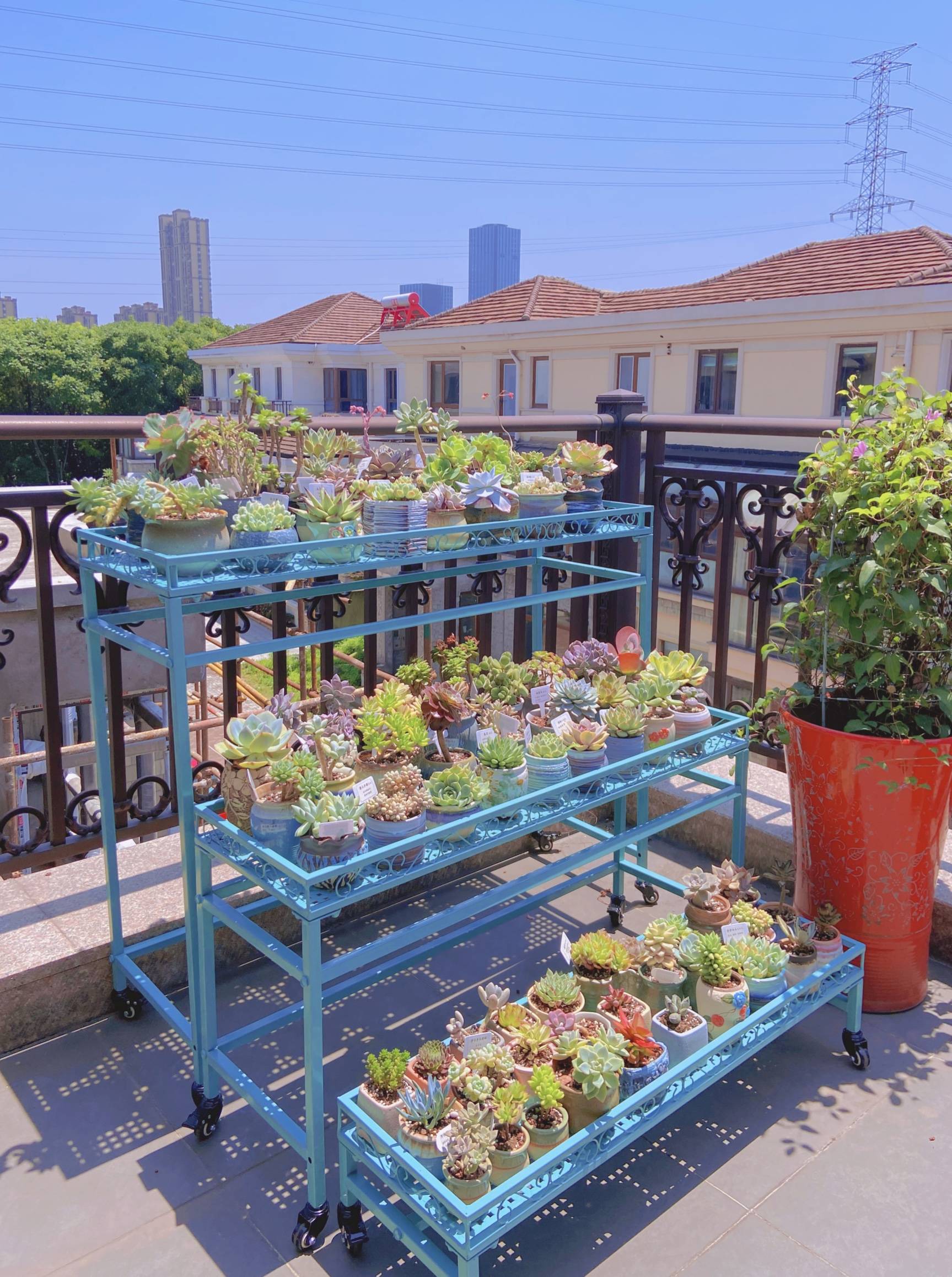 花架花含阳台多肉室外多层层带移动露台落地花架