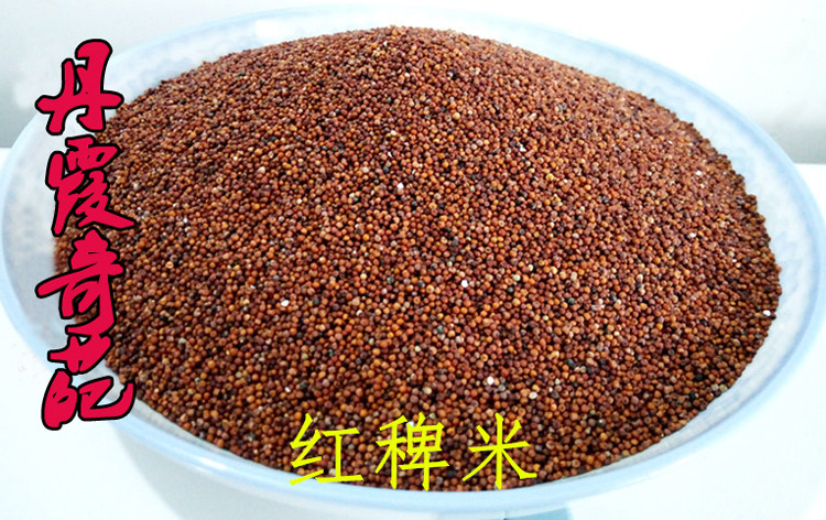 贵州赤水纯天然种植红稗米鸭脚粟红小米米山稗子其它粮食
