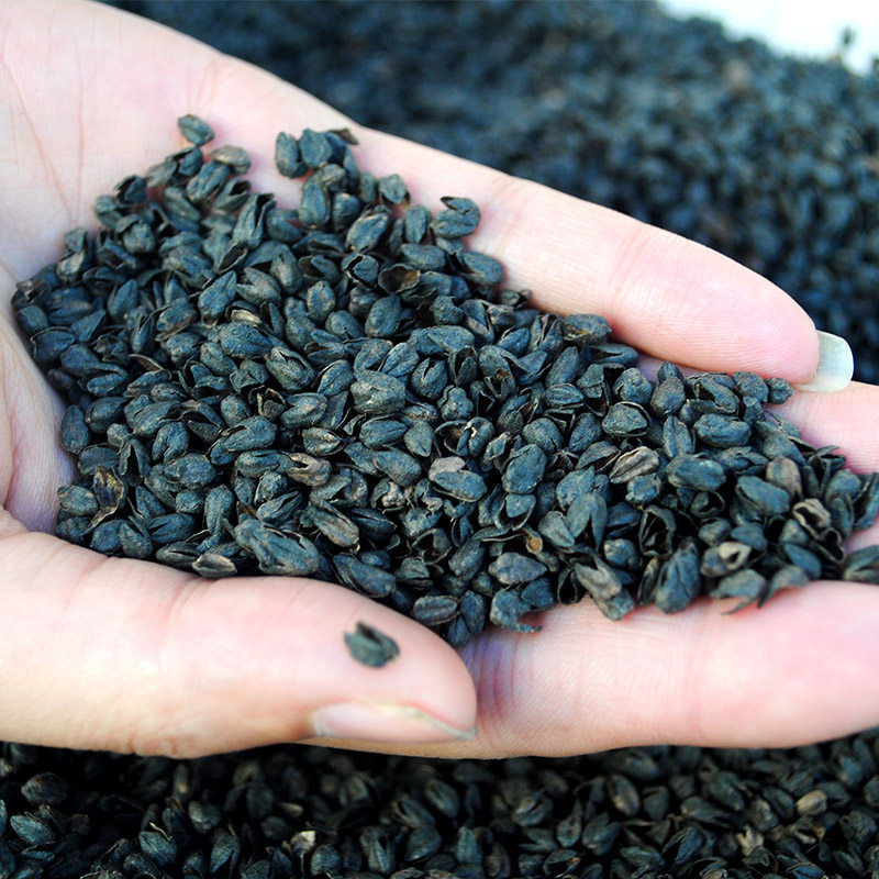 赤峰荞麦皮散装荞麦壳枕芯用全荞麦纯荞麦枕黑苦荞壳药枕花草