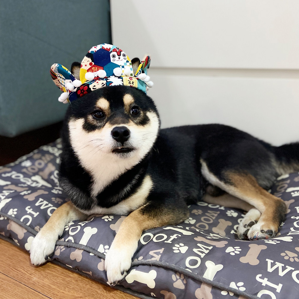 柴犬日花瓣围巾宠物达摩脖圈狗狗手工饰品进口围巾