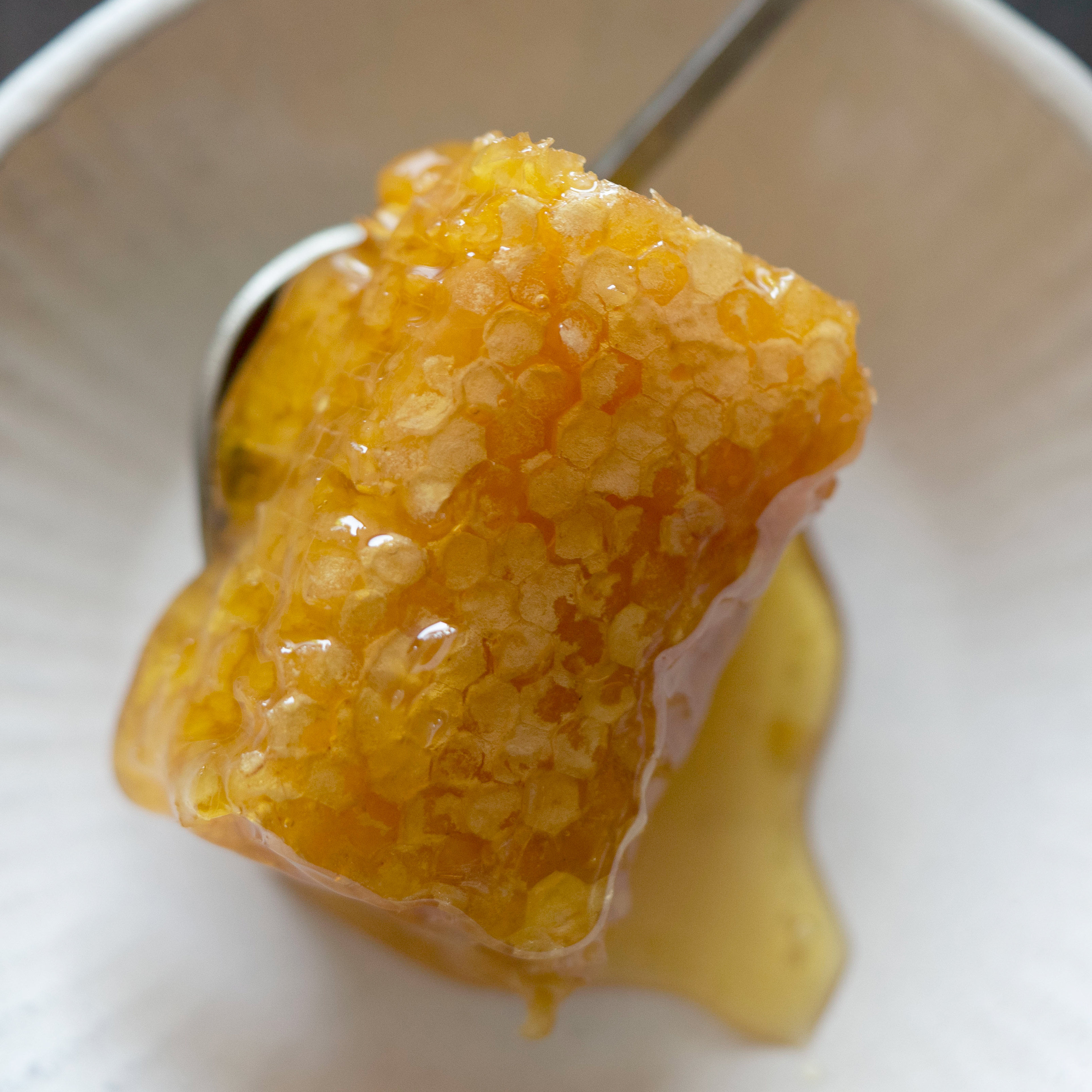 1667百花蜂巢蜜安徽黄山特产野生天然农家自产土蜂蜜新品百花蜜