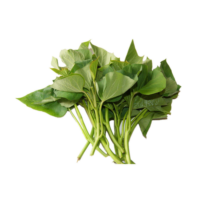 红薯叶地瓜时令苕尖地瓜冰袋现摘装包3斤泡沫叶菜类