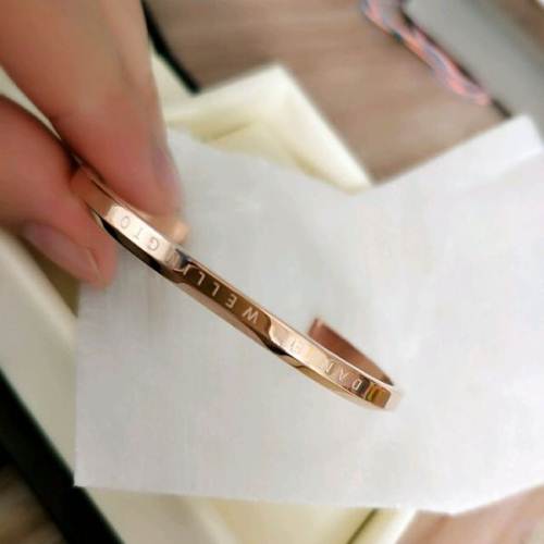 香港直邮danielwellington丹尼尔惠灵顿dw手镯百搭简约饰品手镯