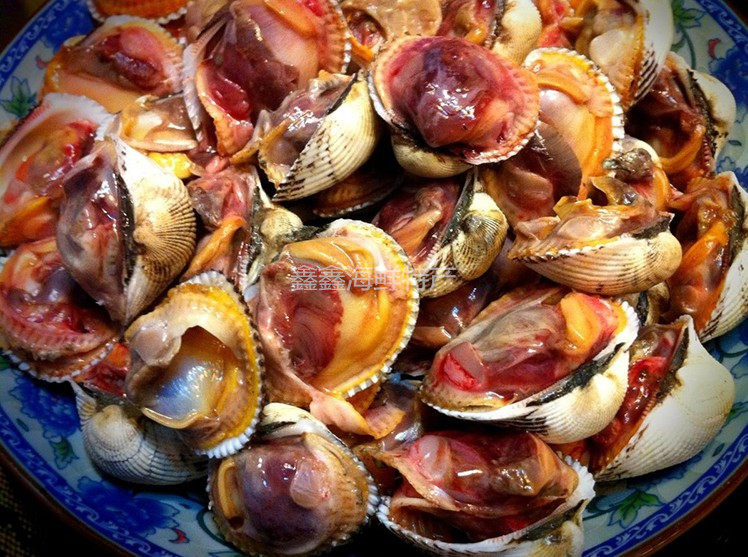 大连庄河野生海鲜特产当地现挖鲜活新鲜毛蚬子 毛蚶子 毛蛤 血蛤