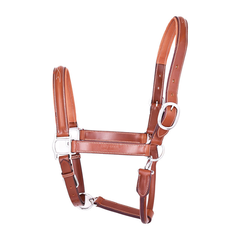 笼头马术装备耐用调节真皮龙头牵马马笼头cook牵马