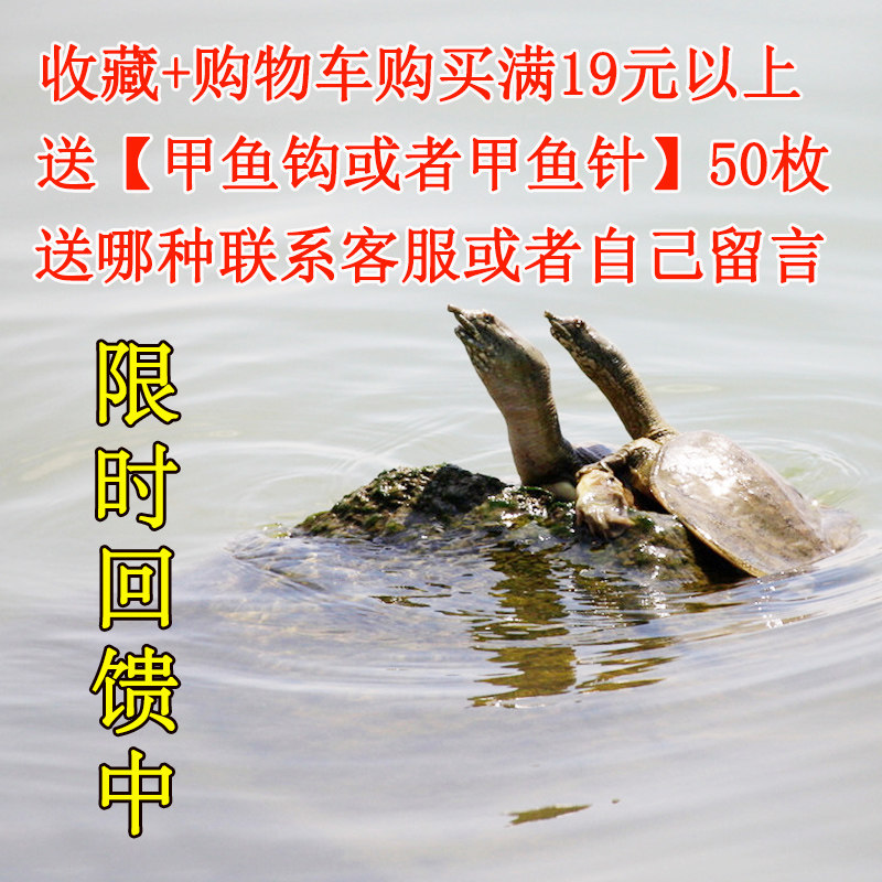 钓鳖钩吊王八神器不锈钢地针套装地插地叉捉甲鱼其他垂钓用品