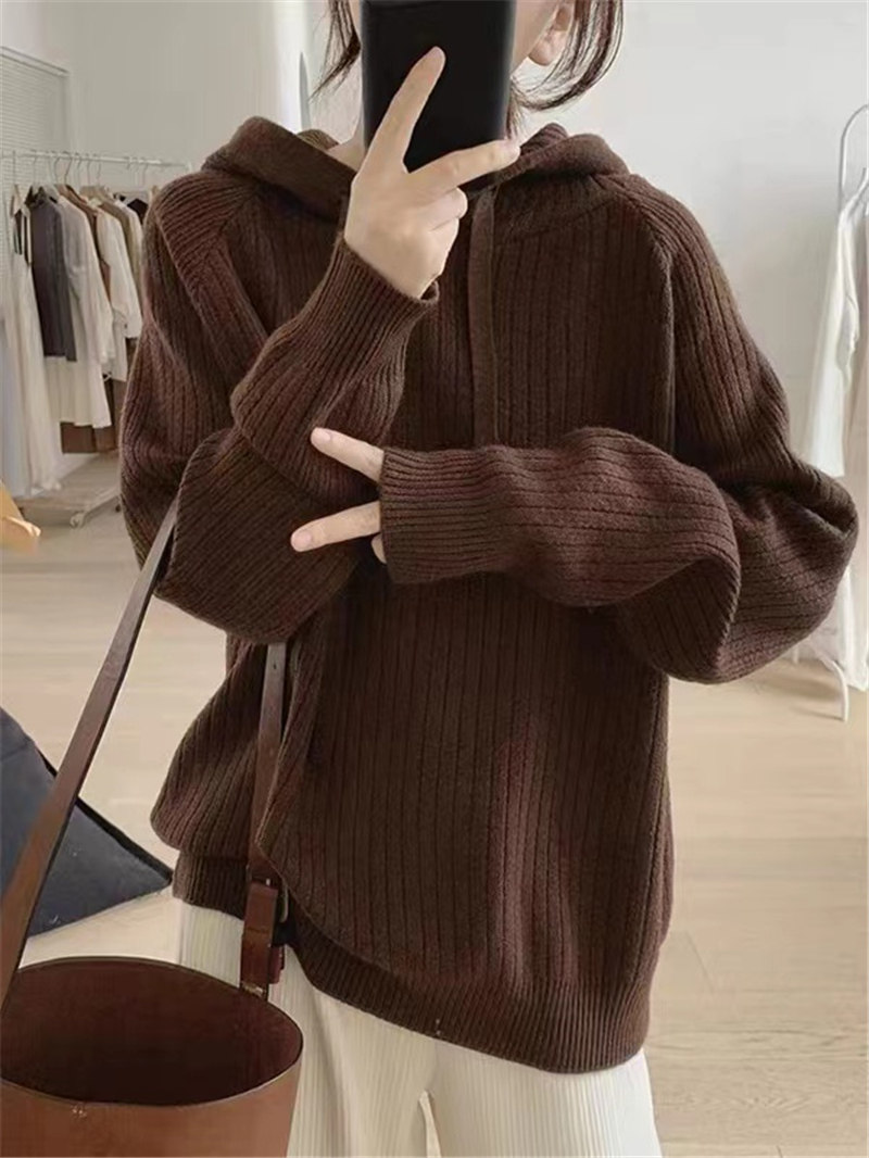 秋冬季新款带连帽子毛衣女士2022年戴帽套头针织衫毛衣