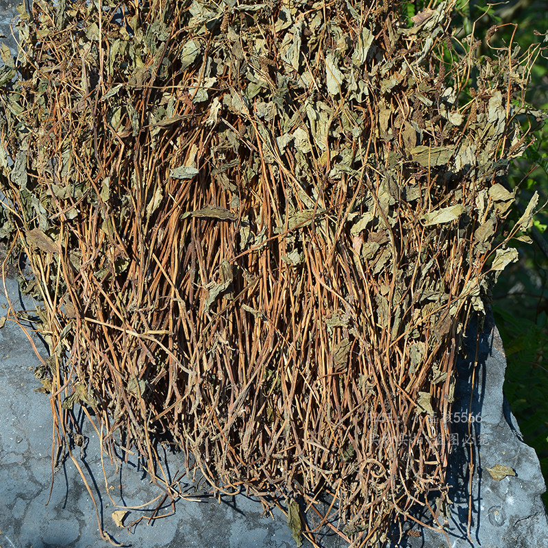 鱼腥草干野生无硫折耳根泡水500g农家整颗晒干鱼腥草