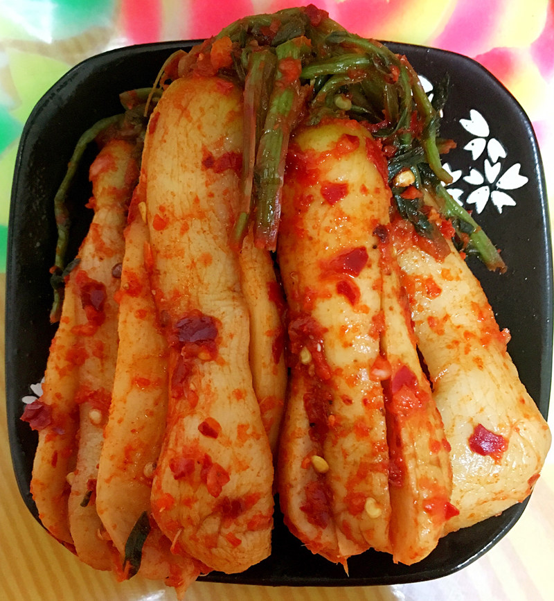 韩国泡菜正宗腌青年萝卜东北酸朝鲜下饭菜延边韩式咸菜酱菜小白萝