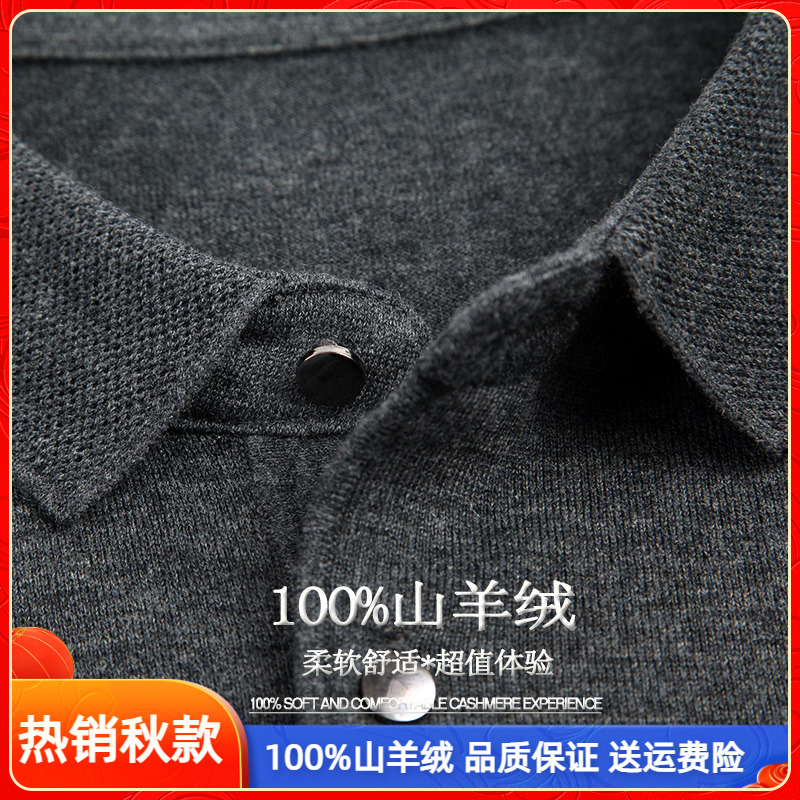 鄂尔多斯市中年秋季薄款羊绒衫男翻领100纯羊绒毛衣羊毛衫长袖T恤