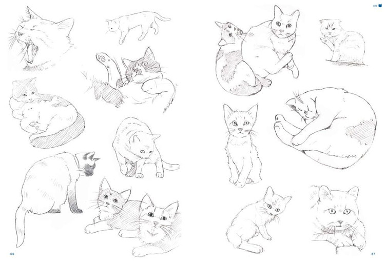 基础绘画艺术手法绘制姿态各种猫咪捕捉精准艺术类原版书
