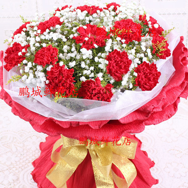 19朵红康馨花花束鲜花同城深圳坪山龙华宝安鲜花速递同城