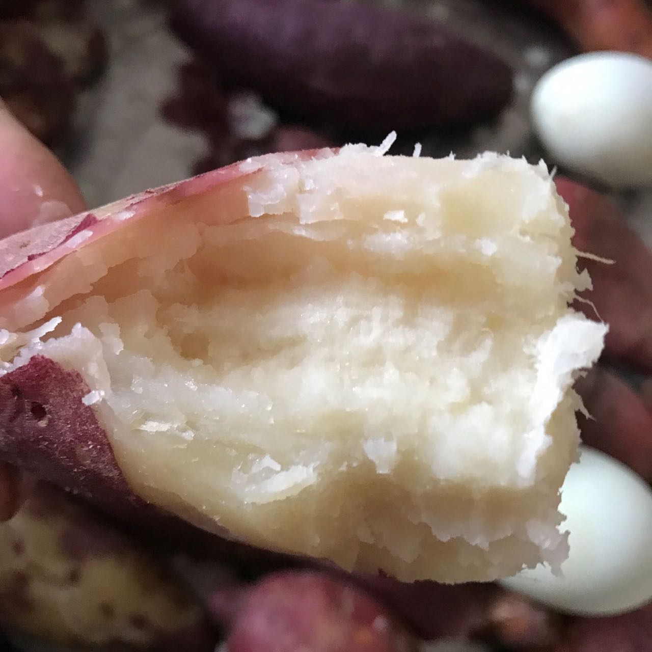 白心红薯新鲜红皮板栗栗子白薯番薯薯粉地瓜番薯