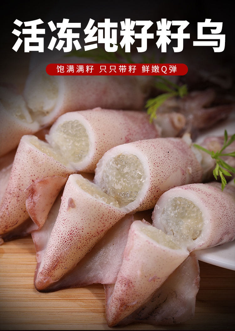 纯籽籽乌海兔笔管余友鲜活冻满新鲜海兔子带籽冷冻墨鱼