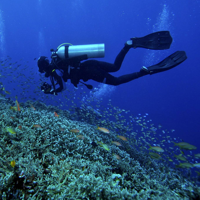 潜水分界洲岛堡礁自营三亚旅游水深珊瑚礁国内票务