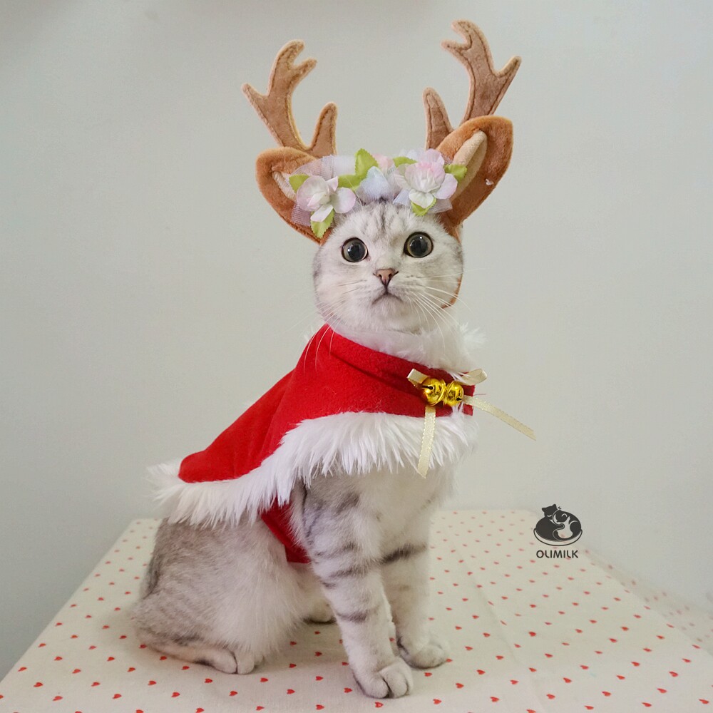 olimilk圣诞新年宠物猫咪毛绒铃铛斗篷披风可爱宠物服装