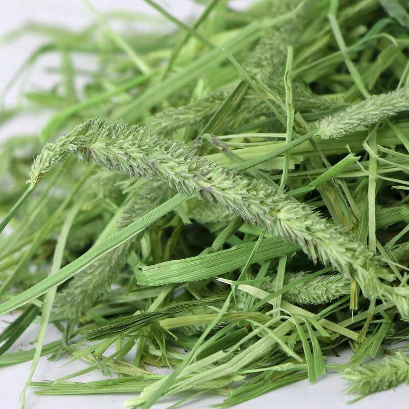 包邮2020年优质摩西500g兔子龙猫牧草荷兰饲料兔兔干草