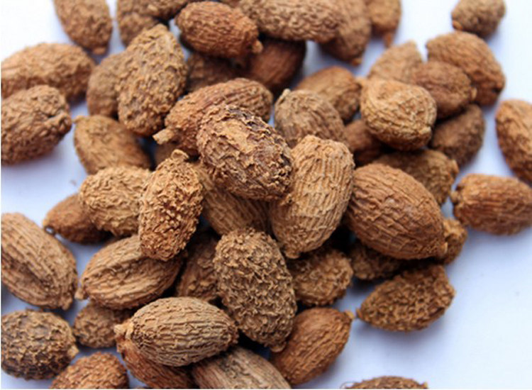 阳春砂仁春砂仁砂沙仁小豆豆蔻50g香料卤料花椒