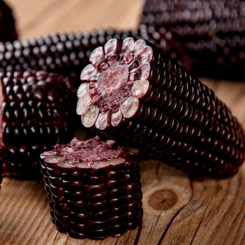 玉米乌粒金花山西农科院研究所转基因黑玉新鲜10根玉米