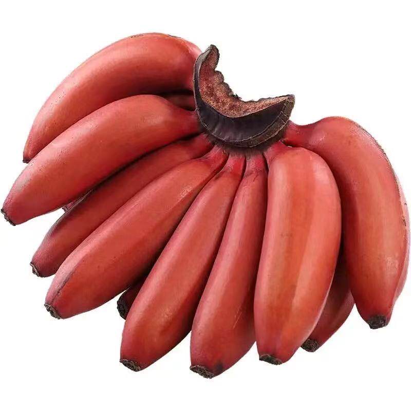 福建土楼美人红皮香蕉净重5斤新鲜当季孕妇香蕉