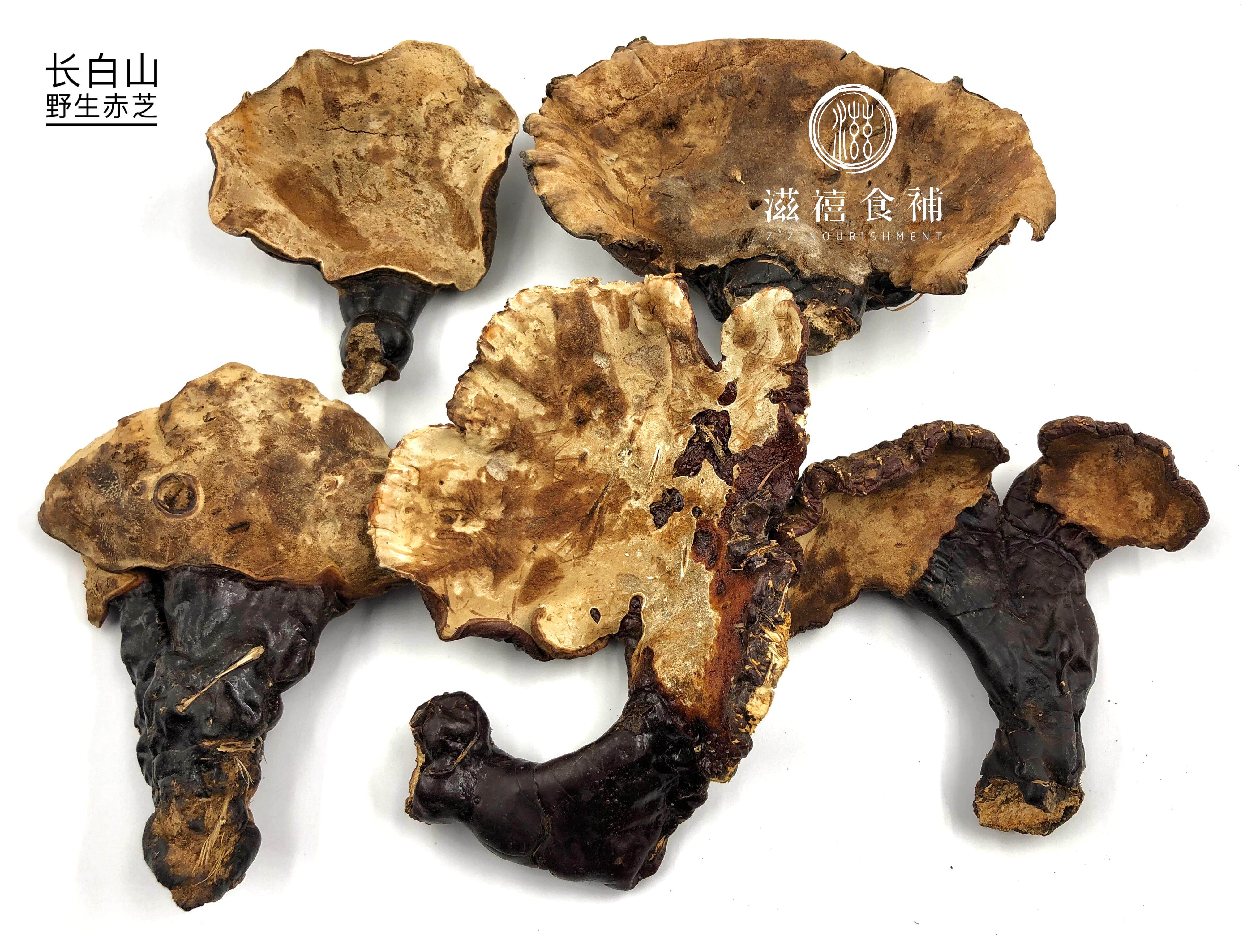 灵芝野生西藏波密正宗赤灵整枝切片滋禧250g整枝灵芝