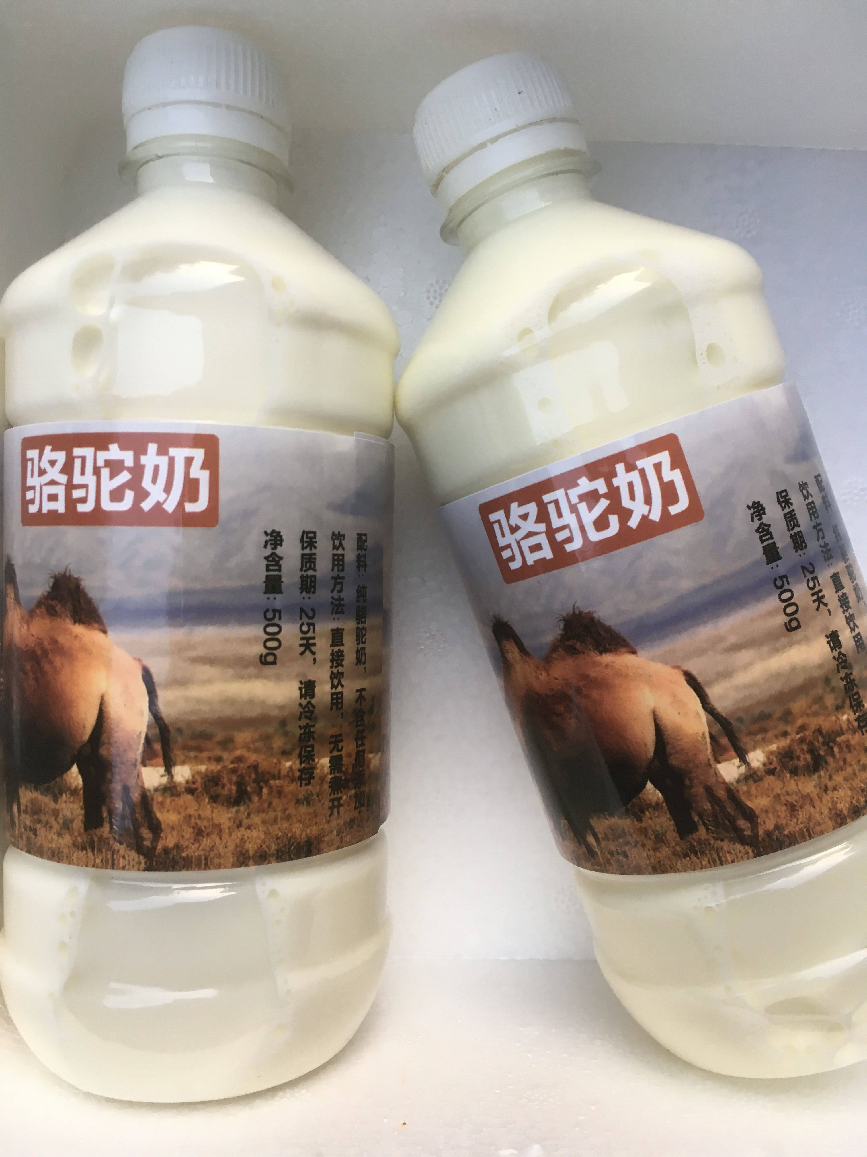 鲜奶2斤骆驼原奶现挤新鲜无糖驼奶新疆哈萨克族哈萨克族