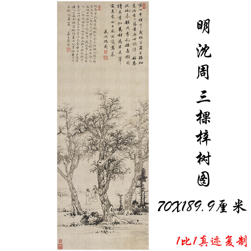 沈周三棵梓树复古书画水墨花卉山水国画微喷国画