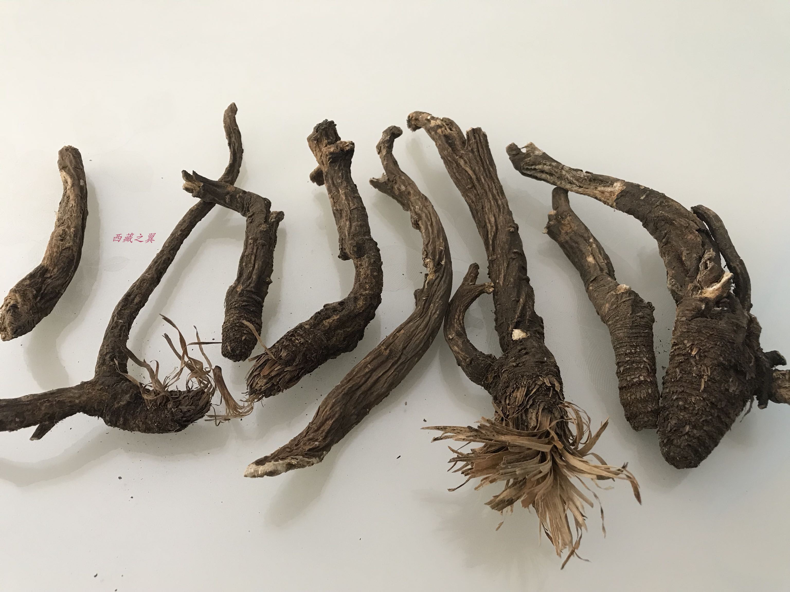 林芝当归250g西藏野生每根30300克特有很香当归