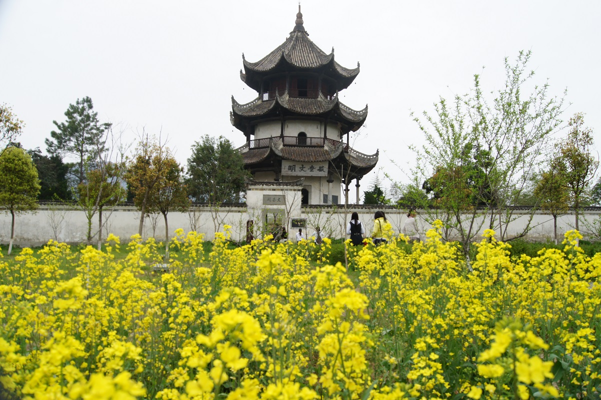 宣城桃花潭镇图片