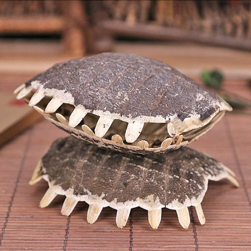 鳖甲中药材店铺鳖甲粉甲鱼壳鳖壳鳖盖子老鳖盖甲鱼壳粉500g包邮