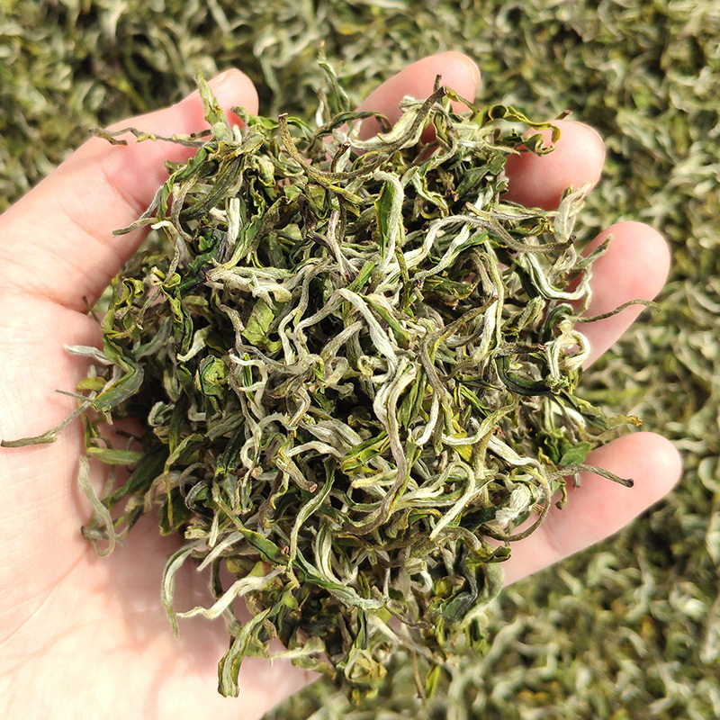 春尖茶叶甘肃青海罐罐茶兰州三泡台茶云南滇绿毛尖散装500g春尖茶