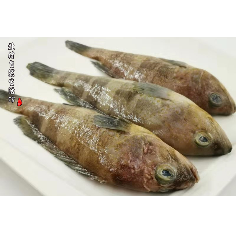 野生小石斑鱼海捕海鲜种类任选福建满168省外满258包邮未满加费_双氙