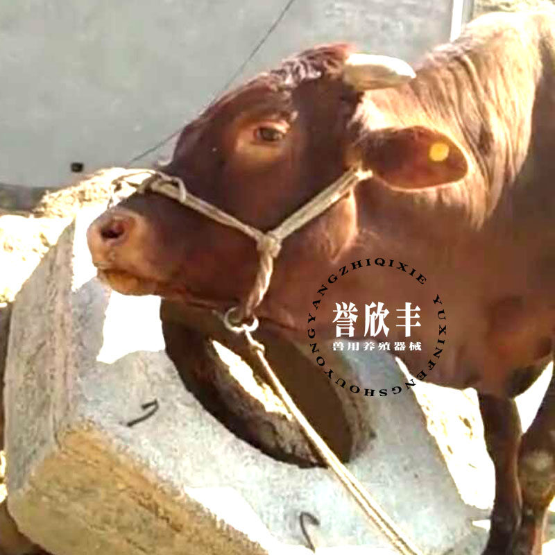 拴牛脖套牛场养牛缰绳牛绳套笼套栓牛龙头牛绳子畜牧
