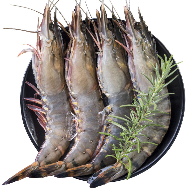 马来西亚速冻斑竹海鲜基围鲜活老虎大虾新鲜特大冻虾