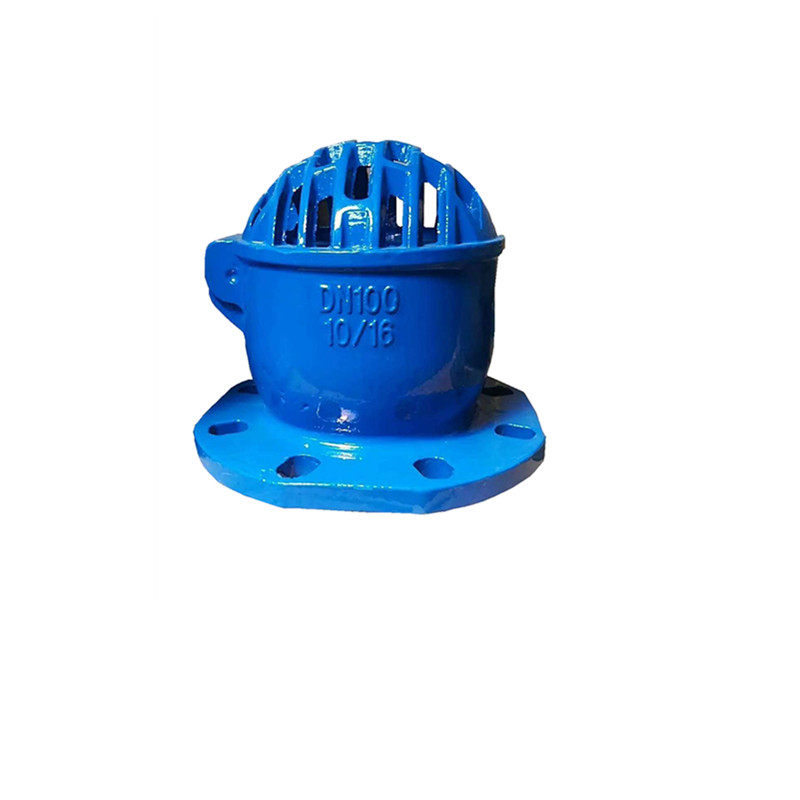 新型莲蓬升降吸水水泵法兰抽水止回阀井底dn80底阀