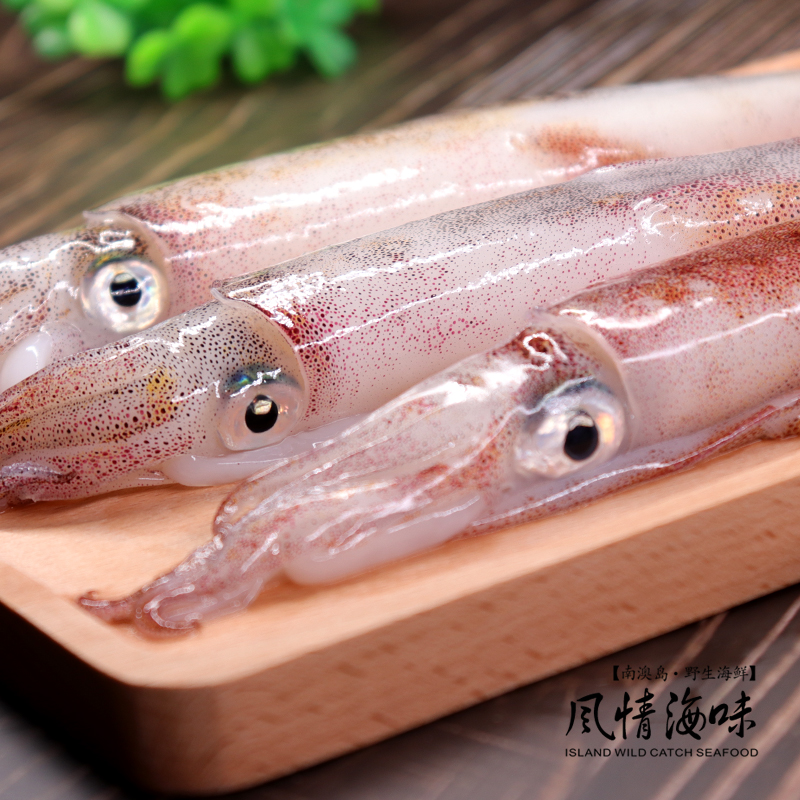 南澳灯照手鱿鱼中号海兔海鲜水产宅鱿吹筒笔管冷冻鱿鱼