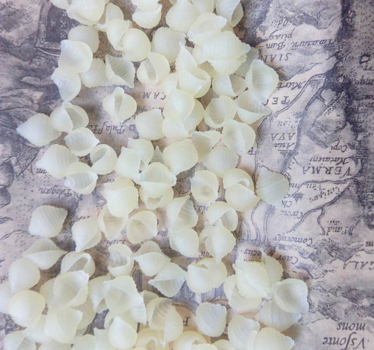 海南清补凉配料 贝壳粉 通心粉 螺丝粉 海南特色小吃300克