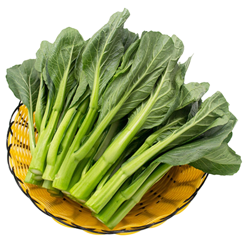 广东菜心种子四九菜芯菜苔种籽春秋四季菜园阳台盆栽易活蔬菜种孑