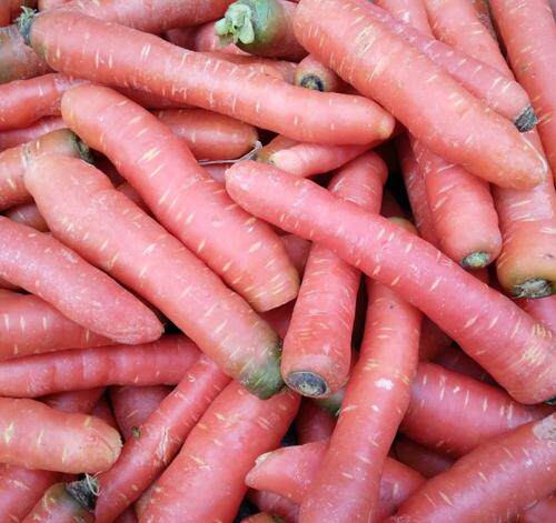 四川沙地红皮红心新鲜红萝卜细心脆甜水果胡萝卜其它