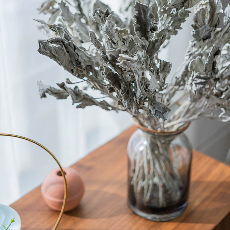 叶菊天然干花雪叶叶子手捧花束客厅插花搭配干花