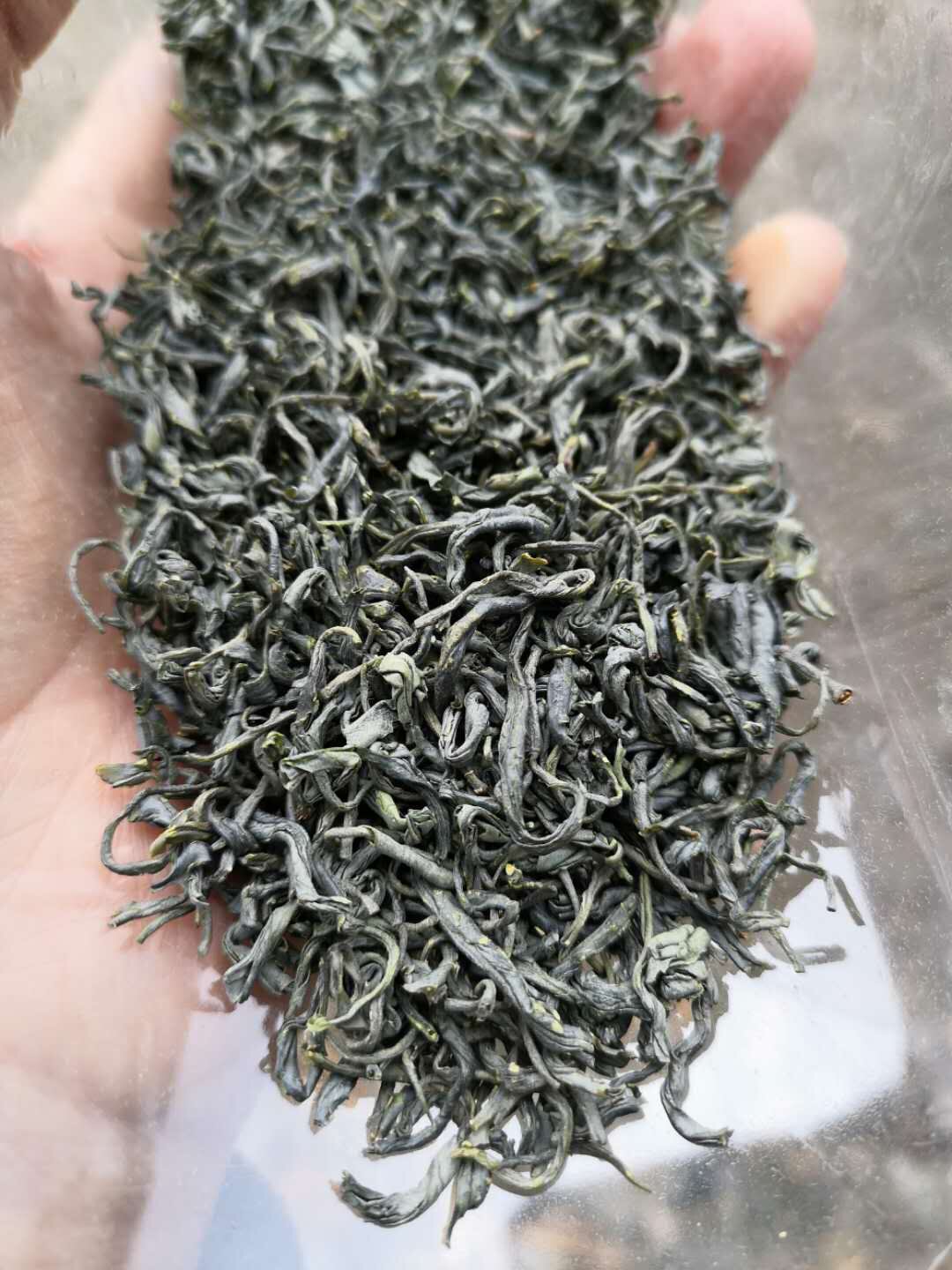 湖北宜昌特产高山绿茶浓香香型生活五峰珍眉日照绿茶