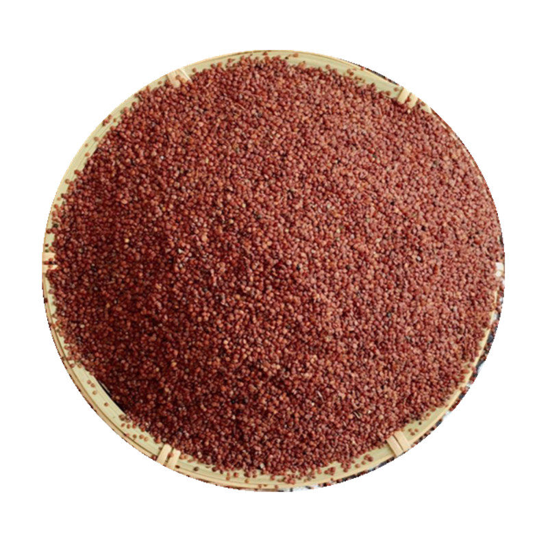 天仙子 南天仙子 天仙籽 正品海藻面膜干净无硫莨菪子500克包邮