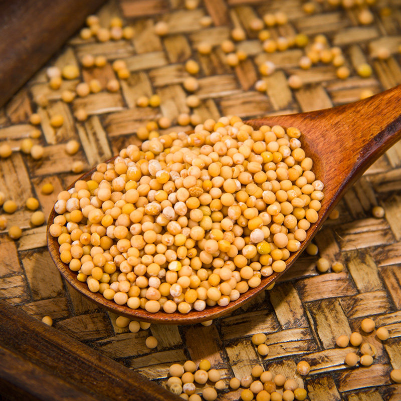 芥子纯天然可炒可打生白500克正品品包白芥子新货其他药食同源食品