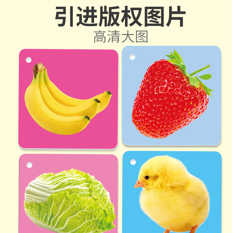 婴幼儿早教卡片启蒙认知益智玩具