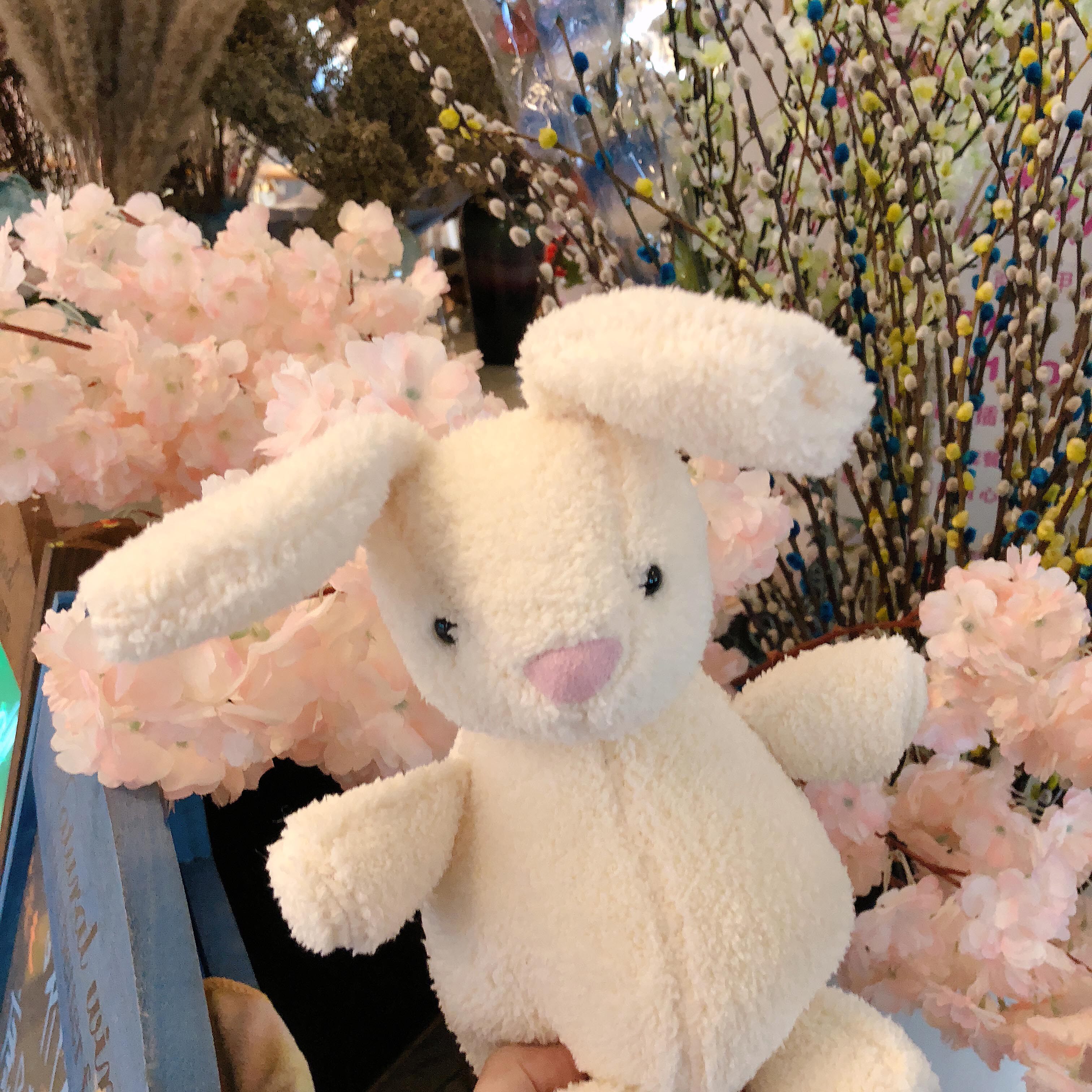 ins兔子公仔小清新宝宝兔玩偶柔软小玩偶儿童玩具女孩手拿小兔子