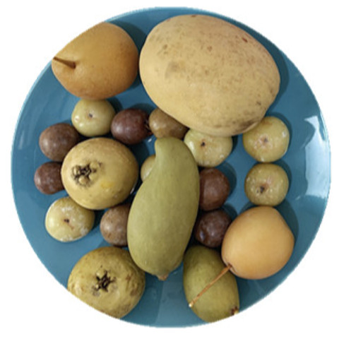 自制鲜果泡梨橄榄木瓜李子芒果泡多混合泡果辣椒酱