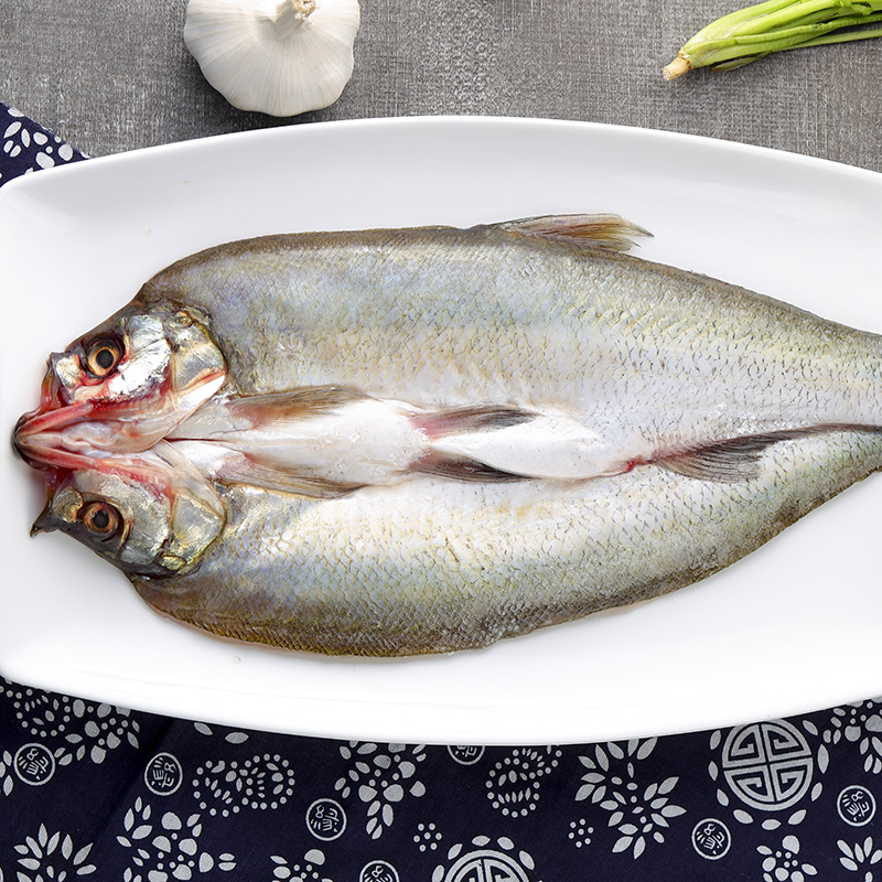 大白翘嘴350500g白鱼翘壳刁子鱼淡水鱼商用半成品半成品水产