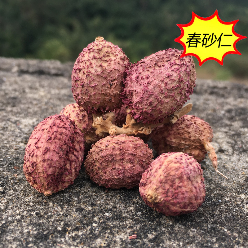 广西十万大山春砂60g农家特级野生特产煲汤砂仁